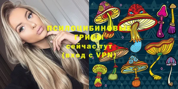 винт Алексеевка
