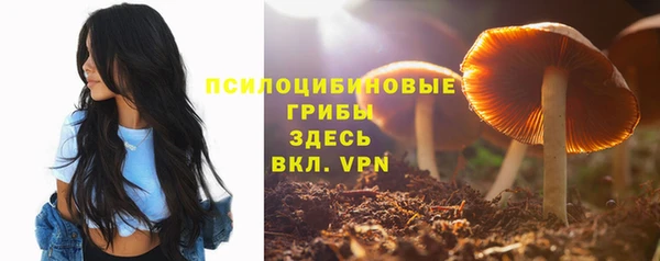 ешки Алзамай