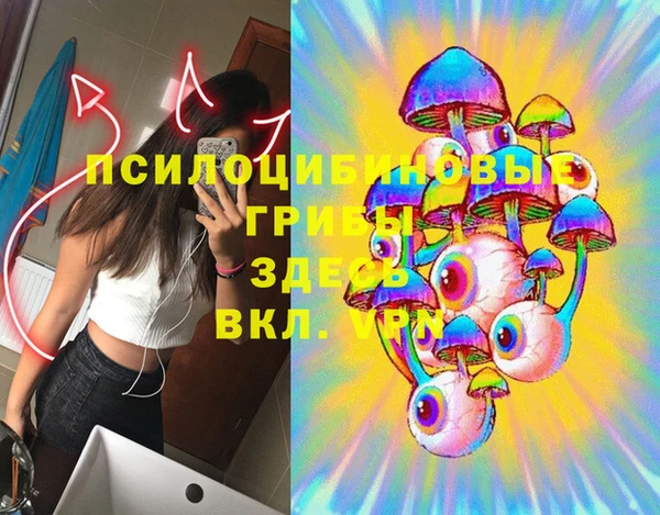 винт Алексеевка