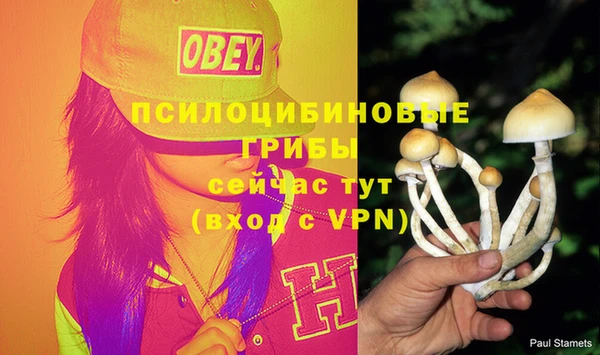 винт Алексеевка
