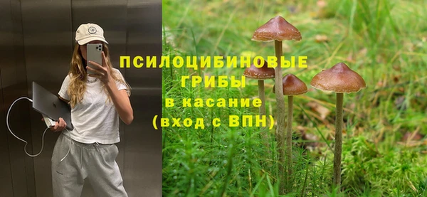 ешки Алзамай