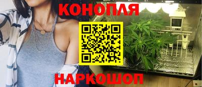 шишки Коммунар