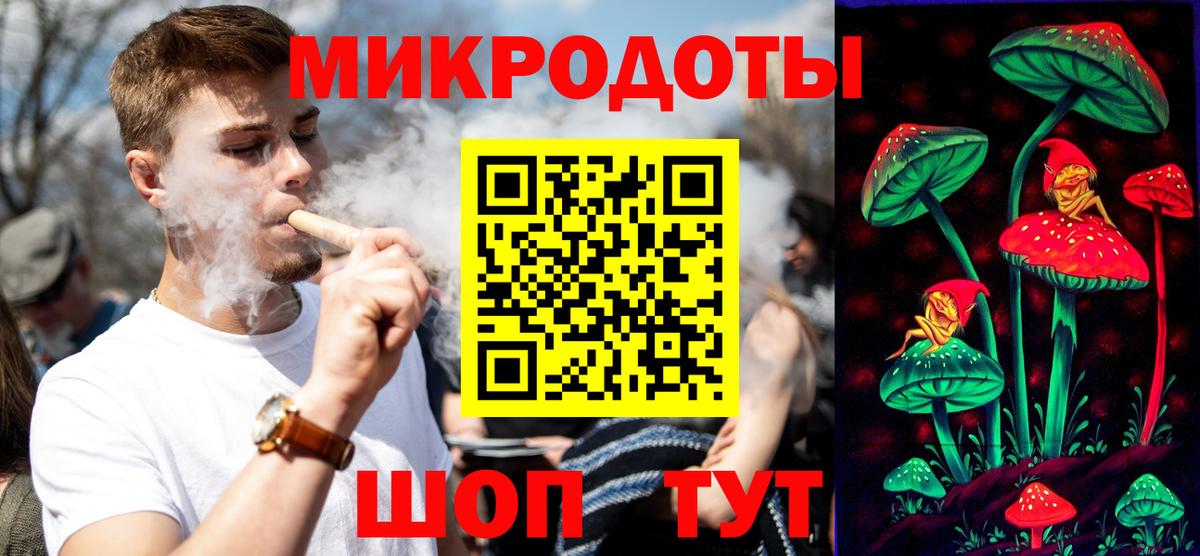 Псилоцибиновые грибы Psilocybine cubensis Кудрово