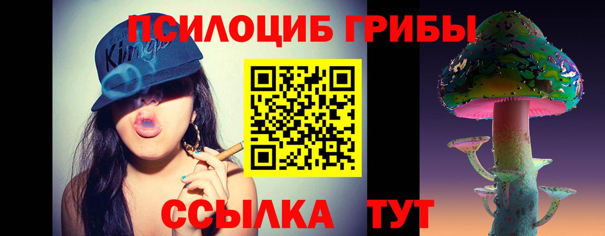 где продают наркотики  Вход с VPN  Кудрово  Галлюциногенные грибы Cubensis 
